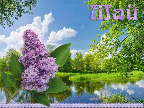 Первая декада мая.